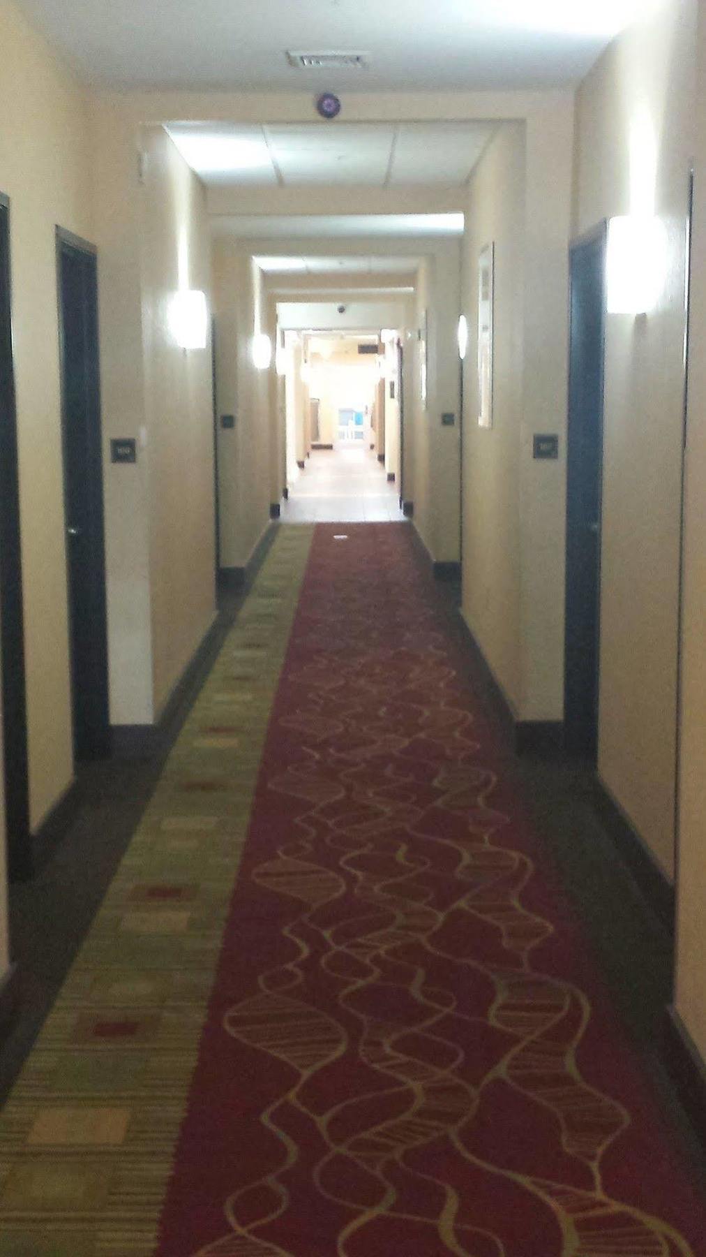 Paradise Inn & Suites Towanda Екстериор снимка